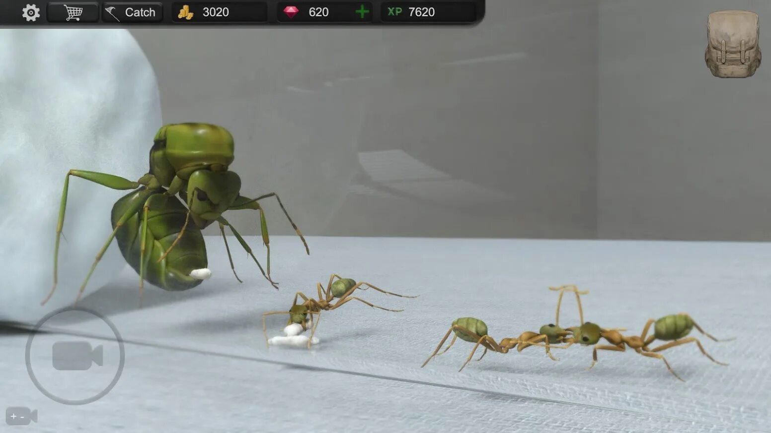 Ant ant tycoon. SIM Ant. Игра про муравьев. Ant Tycoon. Магнат игра муравьи.