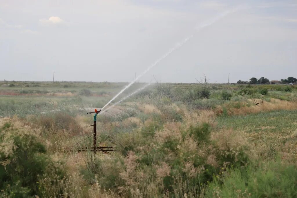 Рп 5 крайновка. Село Крайновка Кизлярский район. Зеленый бугор Кизлярский район. Кардоновка Кизлярский район природа. Село зеленый бугор Кизлярский район.