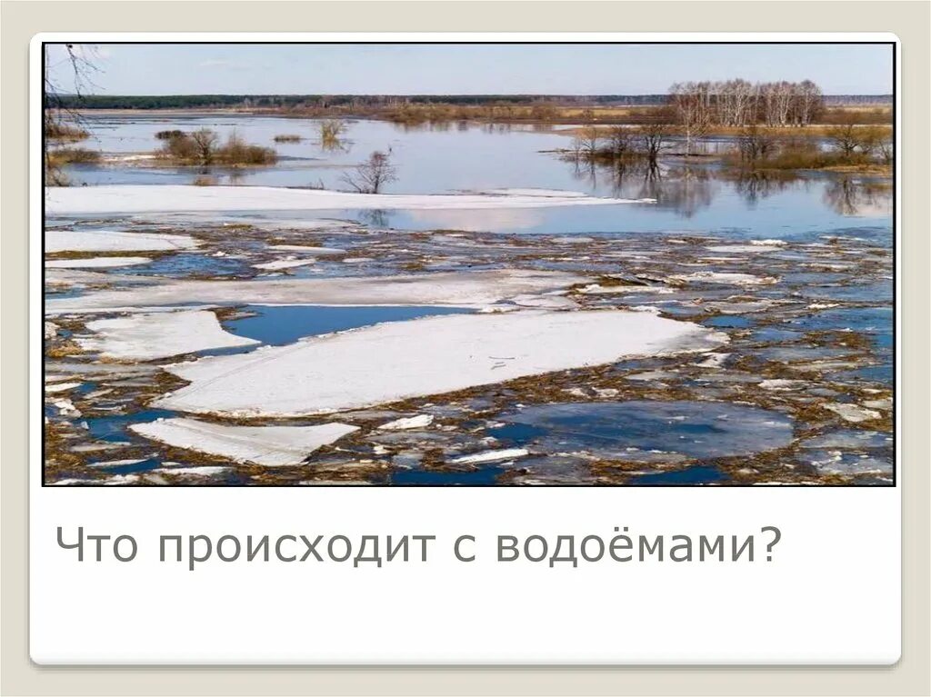 Какие весенние явления происходят в живой природе. Весенние явления. Изменения весной. Весенние явления природы в живой природе.