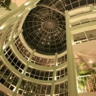 Университет управления правительства москвы отзывы