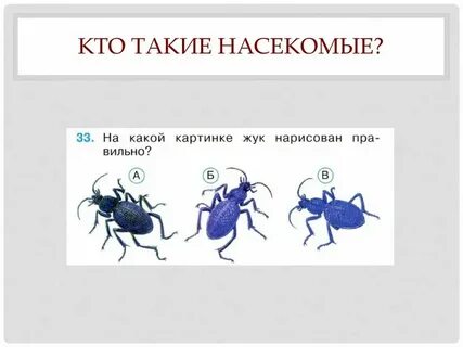 Кто такой артопед