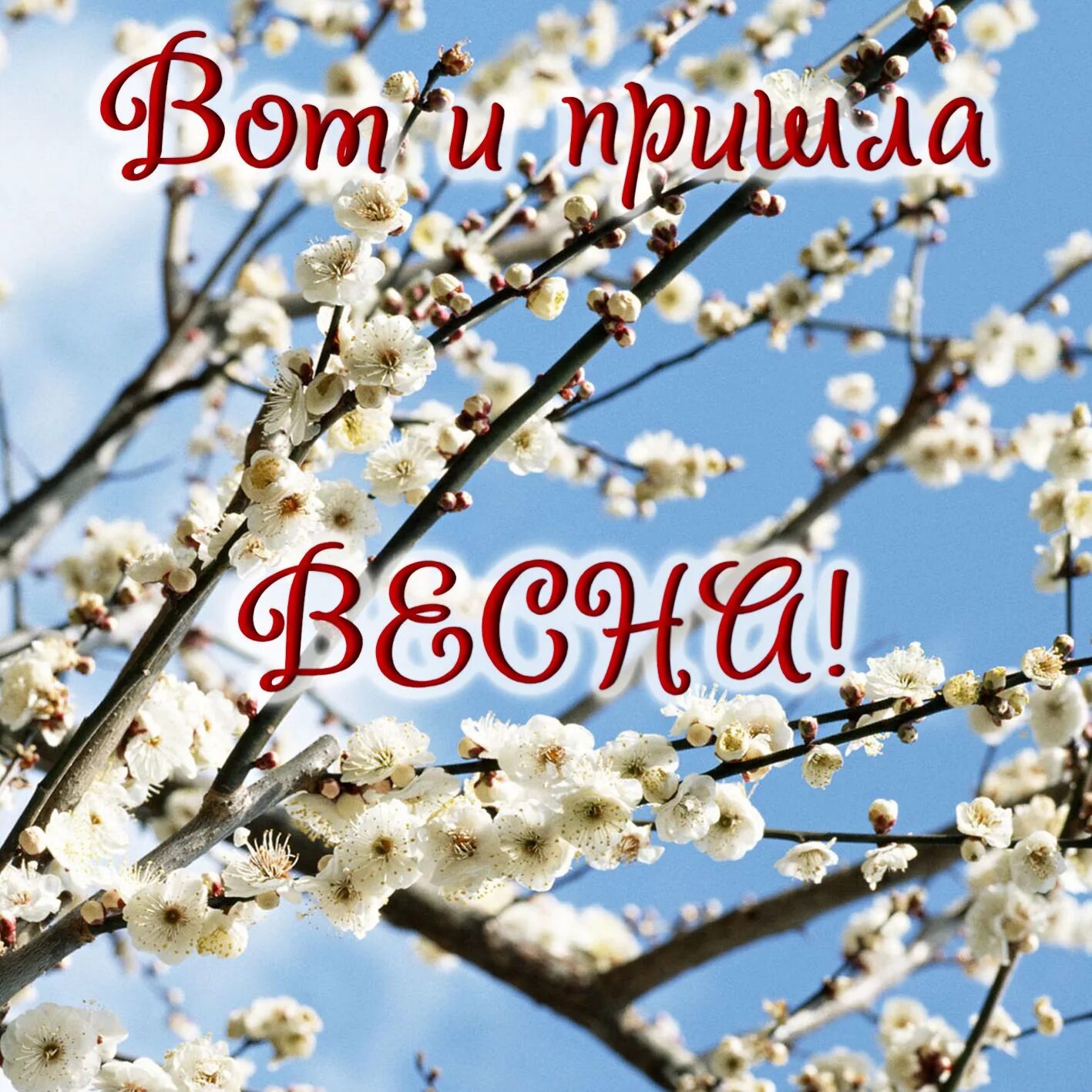 С первым днемвесны. С 1 днем весны. Открытки с первым днем весны. Открытки с весной.