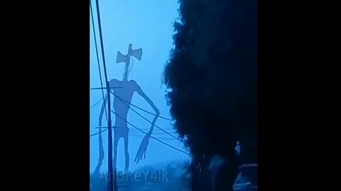 Есть большая сирена