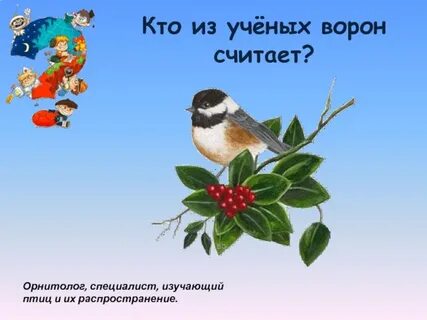 Кто из ученых ворон