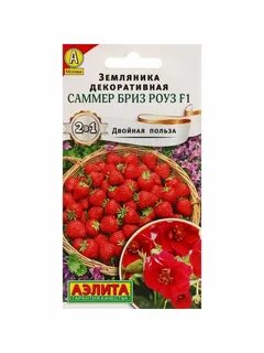 Клубника саммер бриз отзывы