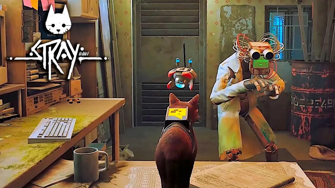 Котик робот игра. Stray игра. stray 2025. stray game 2025. stray геймплей.