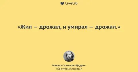 Замирать премудрый горечь