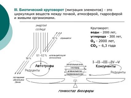 Круговорот элементов