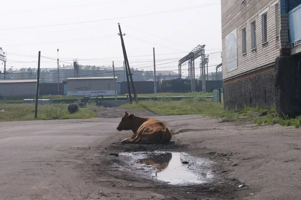 Могоча центр. Станция амазар забайкальский край. Станция могоча. Могоча мост. Погода в могоче.