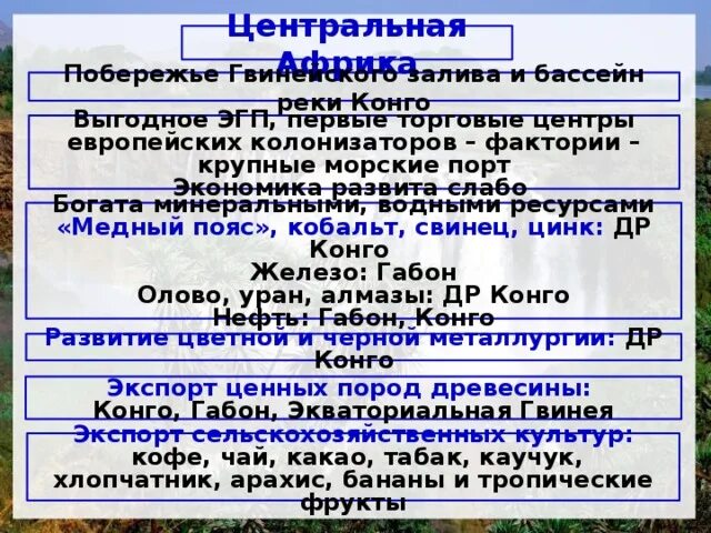 Особенности центральной Африки. Характеристика центральной Африки. Особенности стран Северной Африки. Особенности стран центральной Африки.