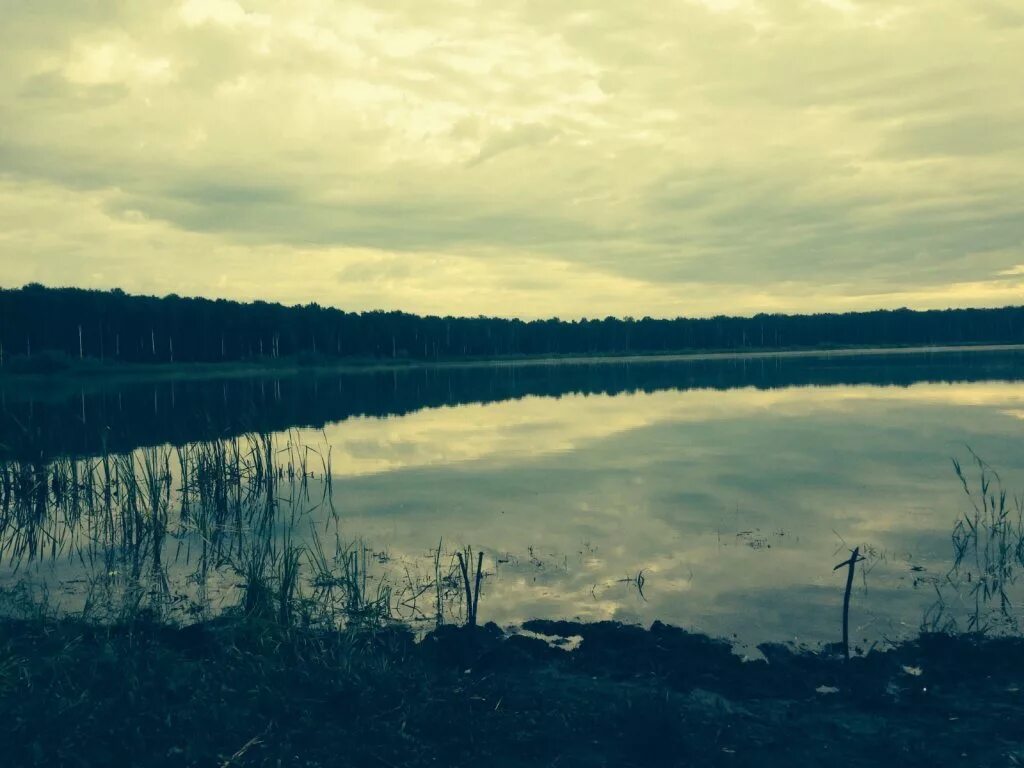 Озеро глубокое звенигород. Казань озера лебяжье и глубокое. Озеро глубокое московская область рузский район. Глубокое озеро казань. Руза озеро.