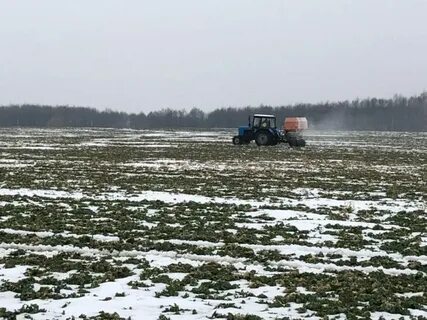 Подкормка озимых
