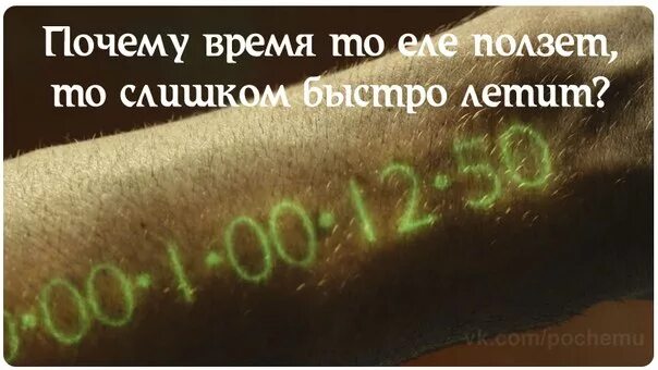 Почему с возрастом время быстрее. Почему время летит. почему время быстро летит. время так быстро летит. почему время летит быстрее.