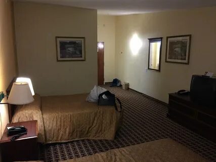 Moggs motel