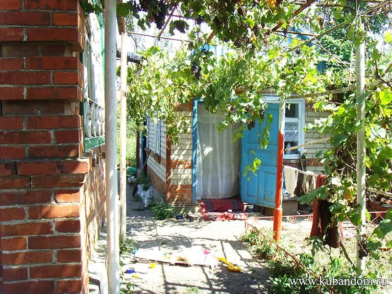 ильский район краснодарский край. погода ильский краснодарский край на месяц. погода в краснодаре. краснодарский край пгт. погода ильский краснодарский край на месяц.