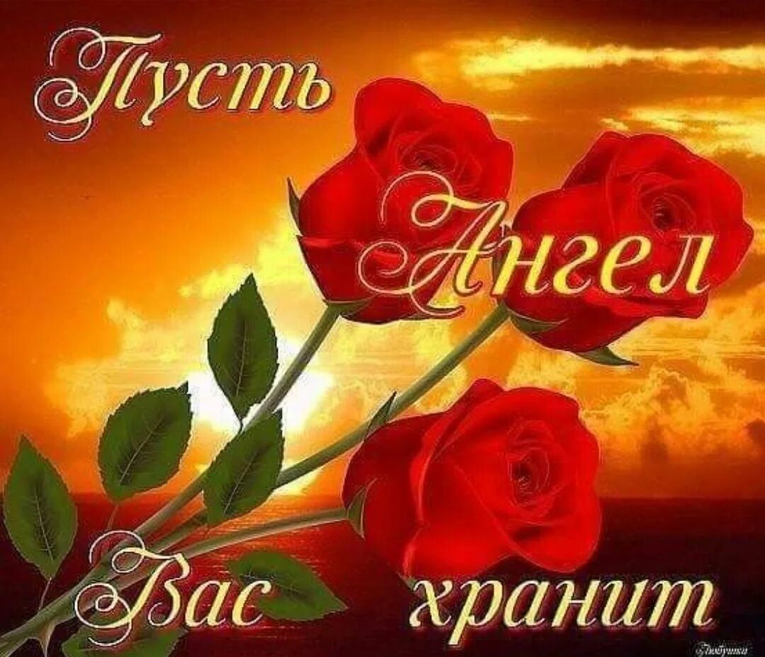 Доброе утро пусть бог хранит вас. Пусть ангел хранит вас и вашу семью. доброе утро пусть ангел хранит вас. пусть бог хранит тебя и твою семью. доброе утро пусть аллах хранит вас.
