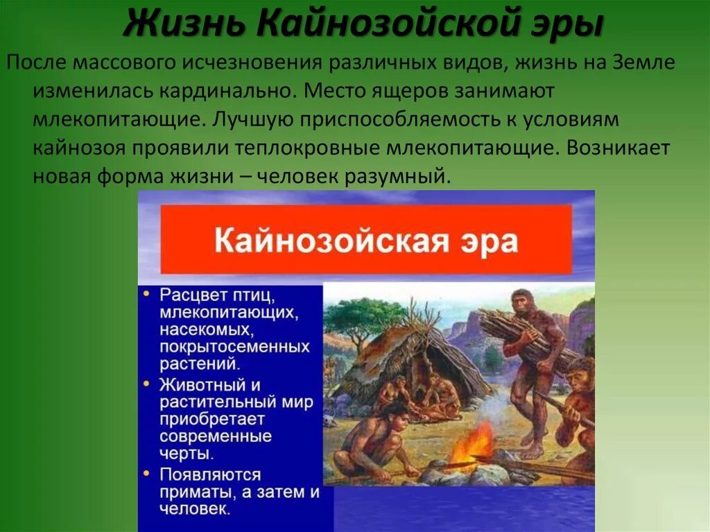 Жизнь в кайнозойскую эру. Кайнозой это Эра новой жизни. Геологические изменения кайнозойской эры. Кайнозой условия жизни. Появление кайнозойской эры