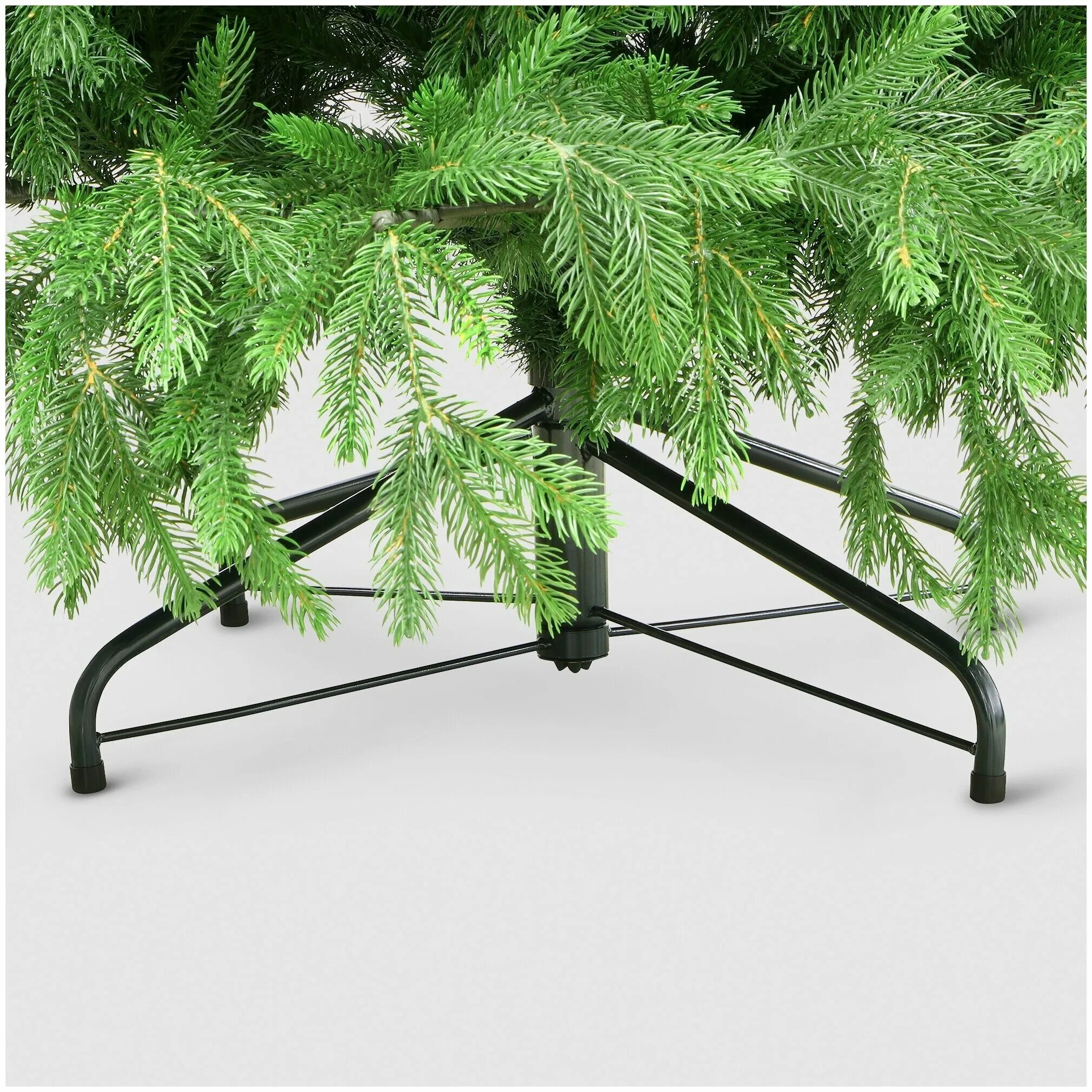 8. царь ёлка байкальская 210 см. ель байкальская царь елка. уличные елки царь елка. царь елка элитная.