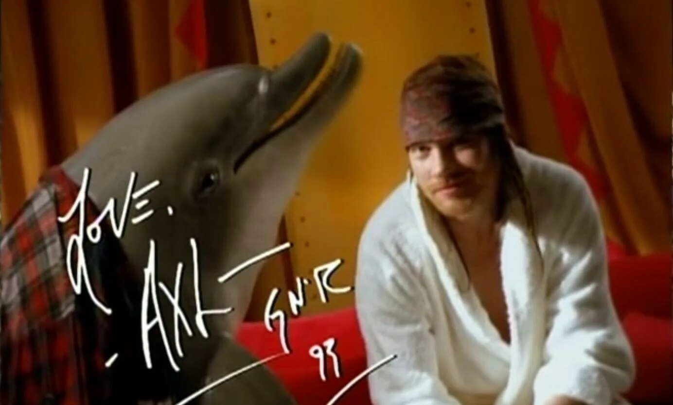 Gun's n roses estranged. Argentum группа. Dolphin gun. Guns n roses best ballads. Gun's n roses estranged.