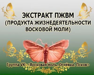 Продукты жизнедеятельности моли