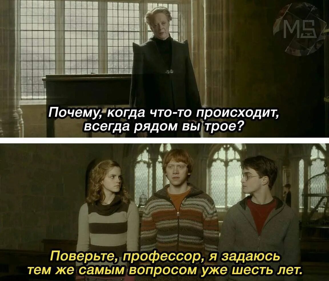 Оказывается там где. Гарри Поттер почему когда что-то случается вы трое всегда. Почему когда что то происходит вы трое всегда рядом. Гарри Поттер вы трое рядом. Мем Гарри Поттер всегда.