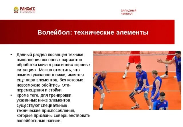 Какие элементы в волейболе. Какие элементы в волейболе