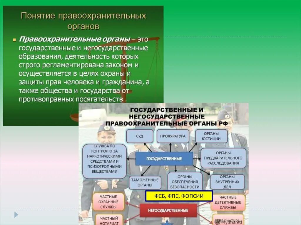 Негосударственные органы рф