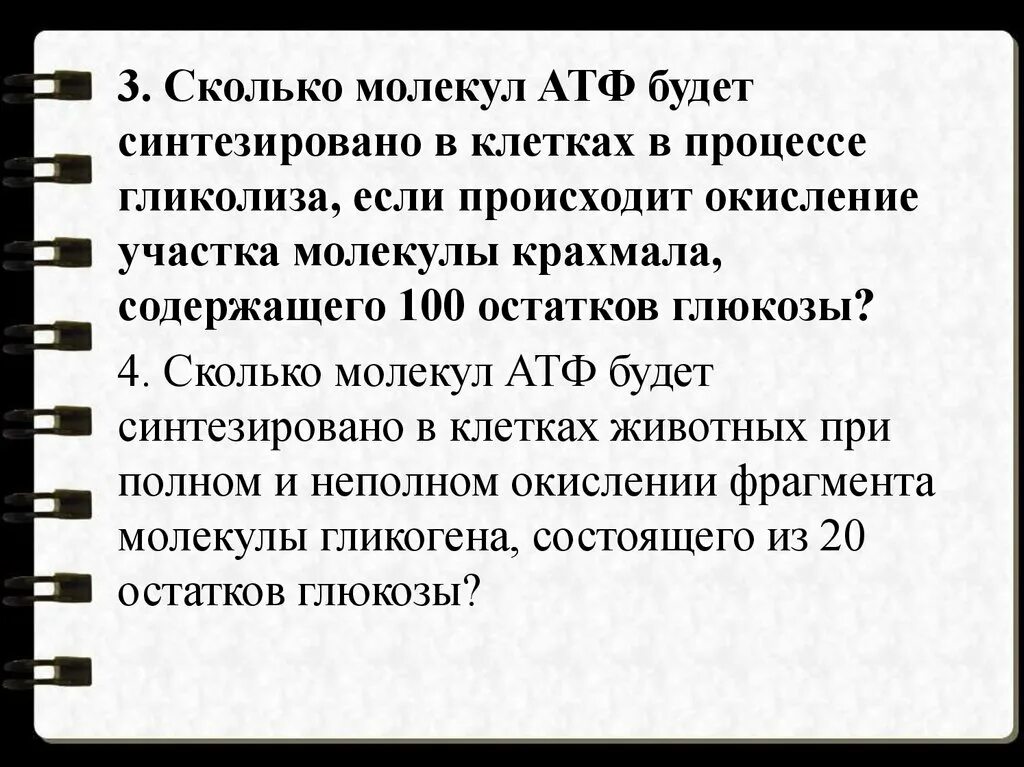 Сколько молекул атф синтезируется