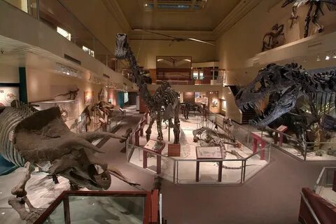 Динозавры история выживших планетарий отзывы