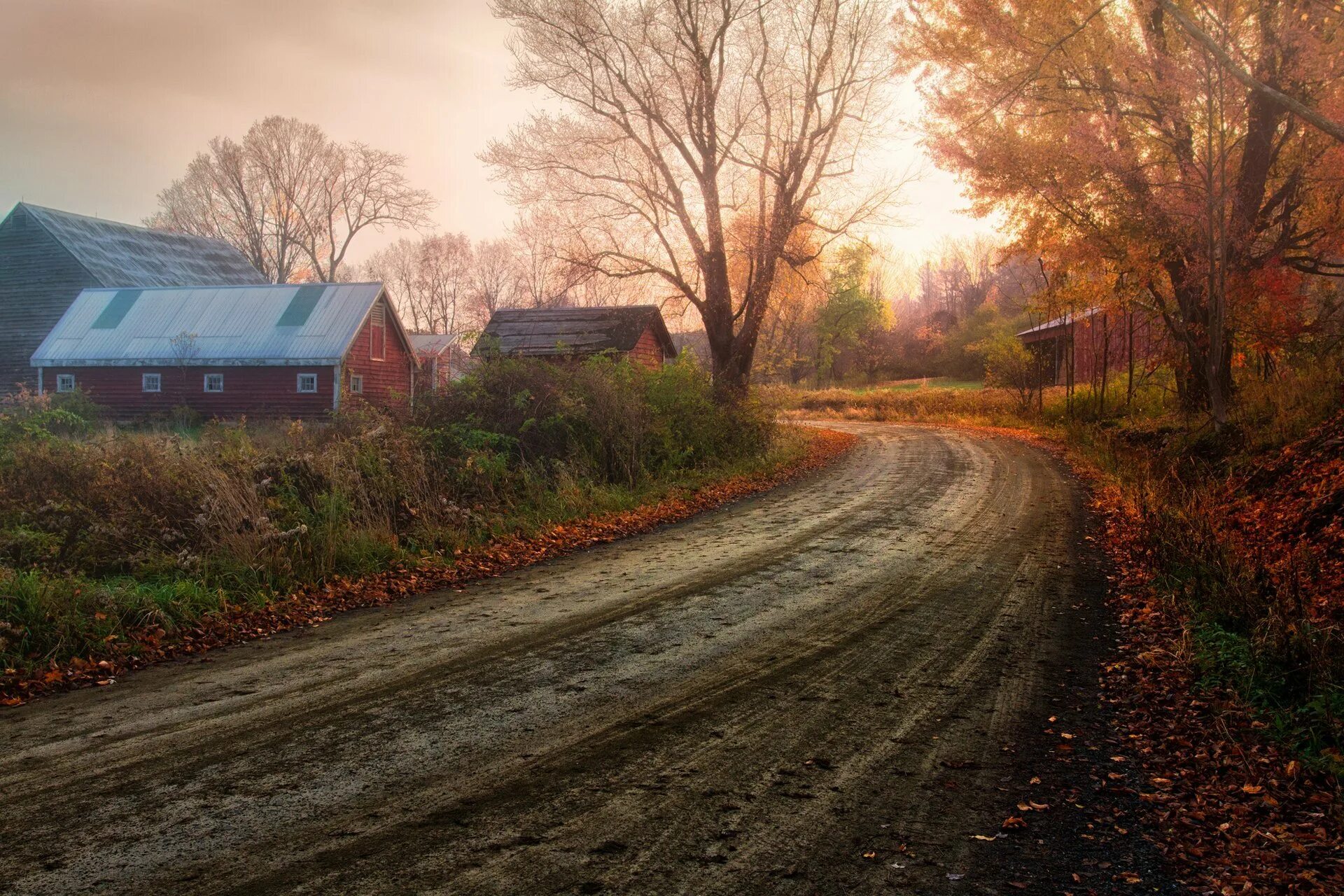 Осень деревня Зенькино. Деревня природа Проселочная дорога. Деревенский пейзаж. Деревенская дорога. 4 не вдалеке от дома начинался лес