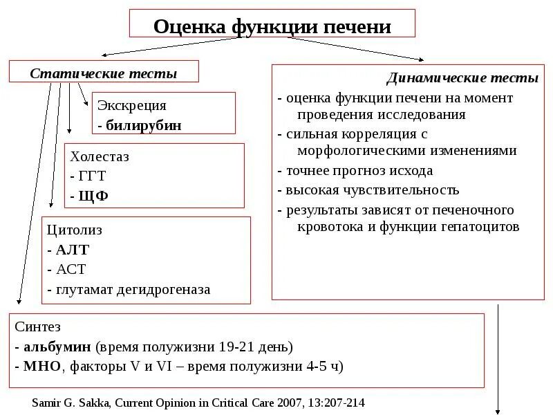 Оценить функцию