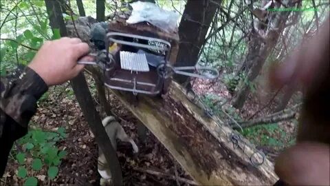 Эффекта видео капкат