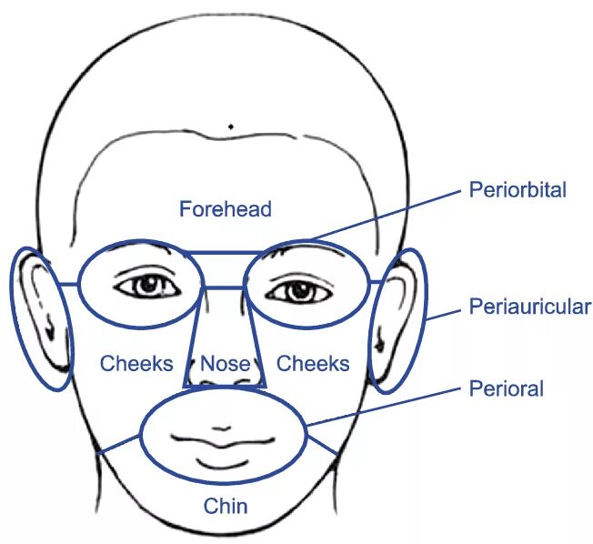 Forehead Chin.