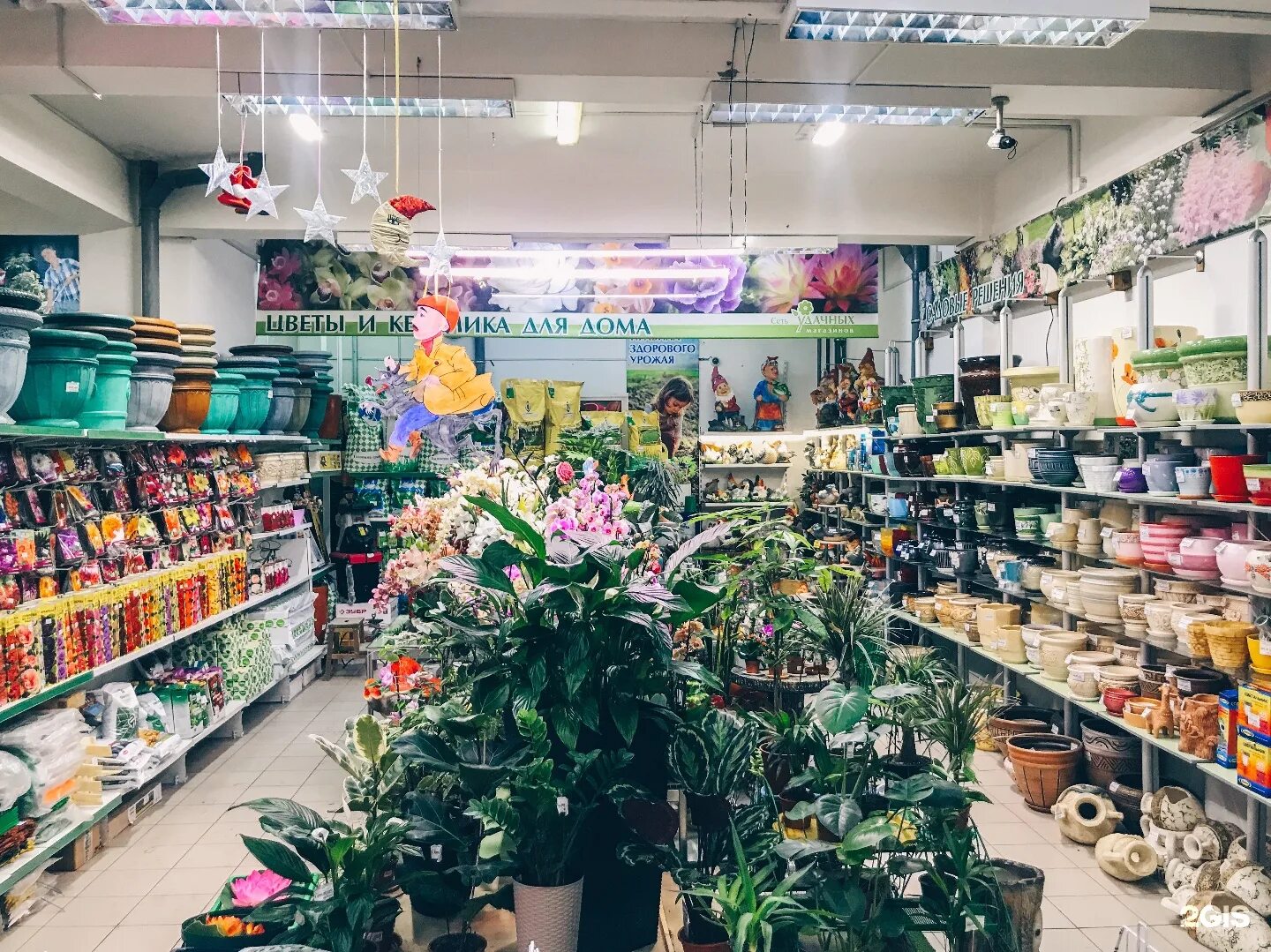 Удачный сад иркутск. Удачный сад иркутск. Удачный сад магазины. Розы люксембург 182/2 иркутск. Иркутск гоголя магазин удачный сад.