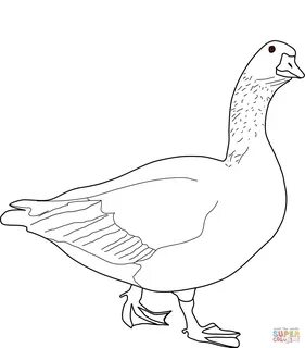 Раскраска гусь