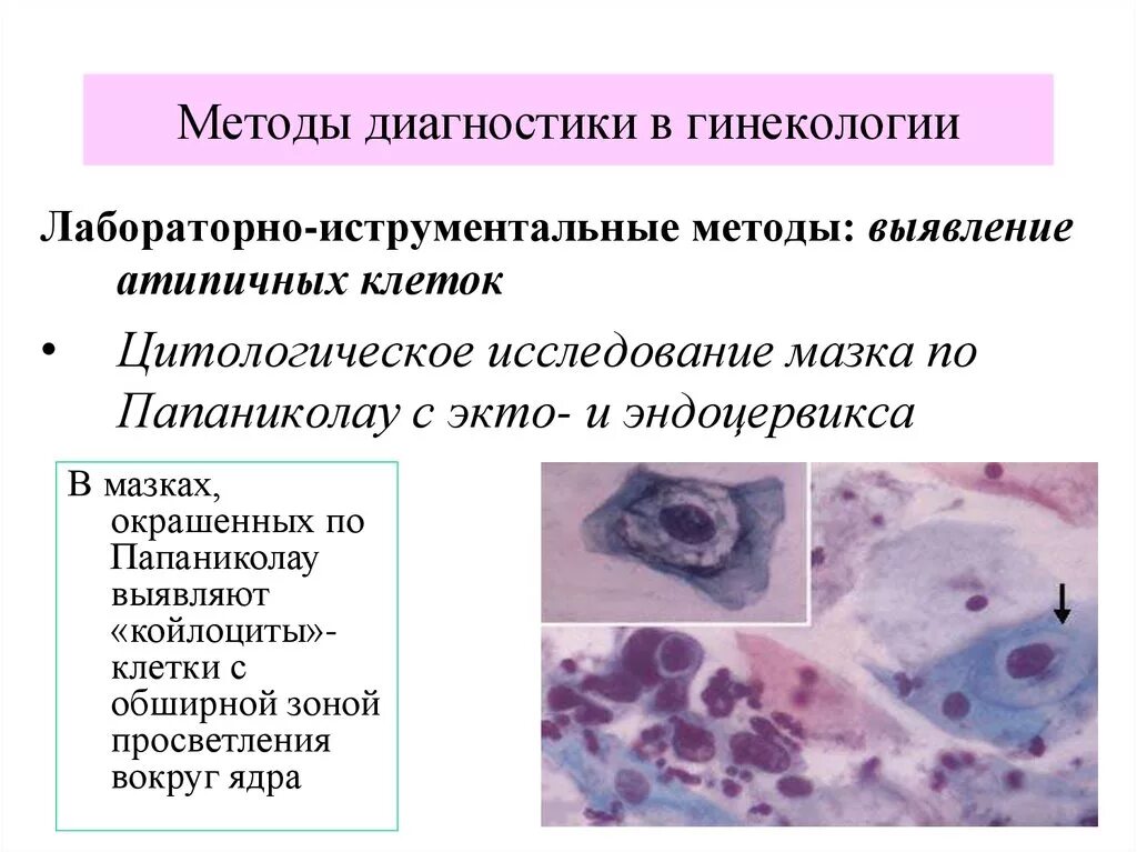 Методы диагностики клеток