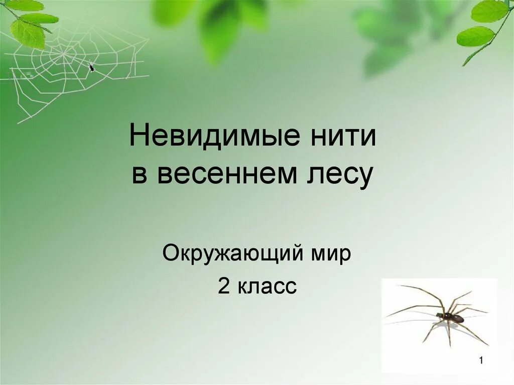 Пример невидимых нитей лесу. Строение и грамматическое значение предложений. Зоология наука о животных. Строение и грамматическое значение. Невидимые нити в природе 2 класс.