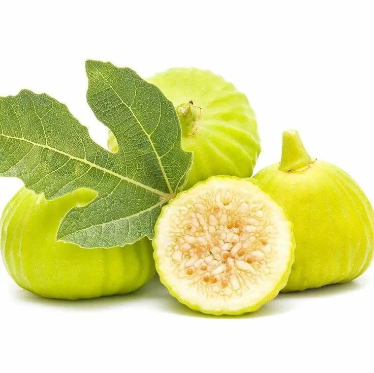 Молочко инжира для чего