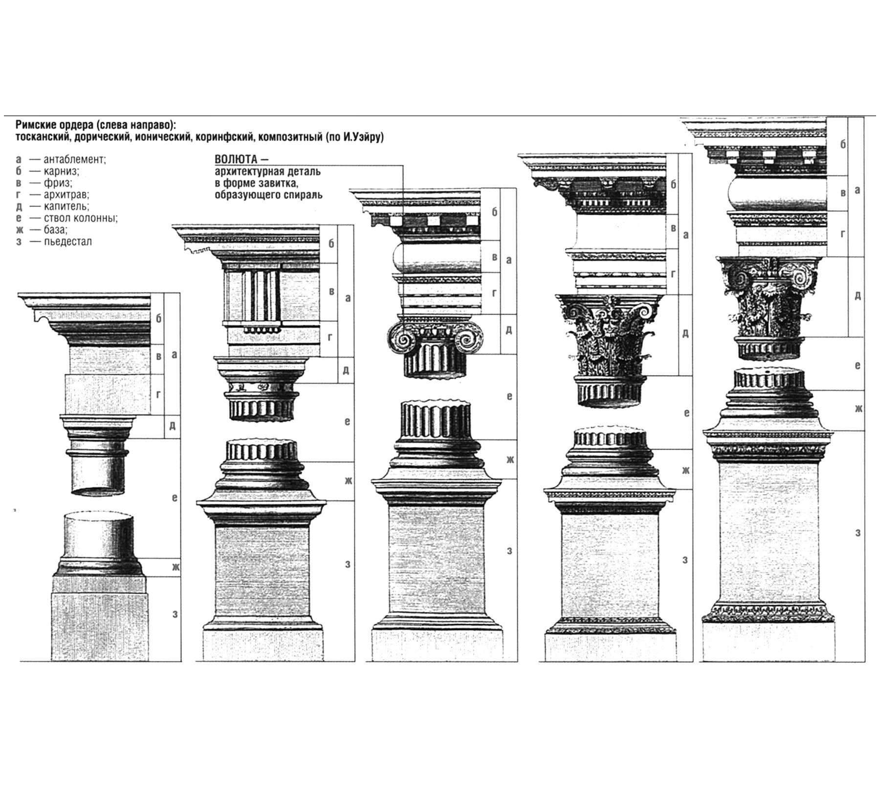 Римские ордеры. Ордерная система ионический ордер. Архитектурные ордера древнего Рима. Колонна Ионического ордера. Дорический ордер ионический ордер Коринфский ордер.