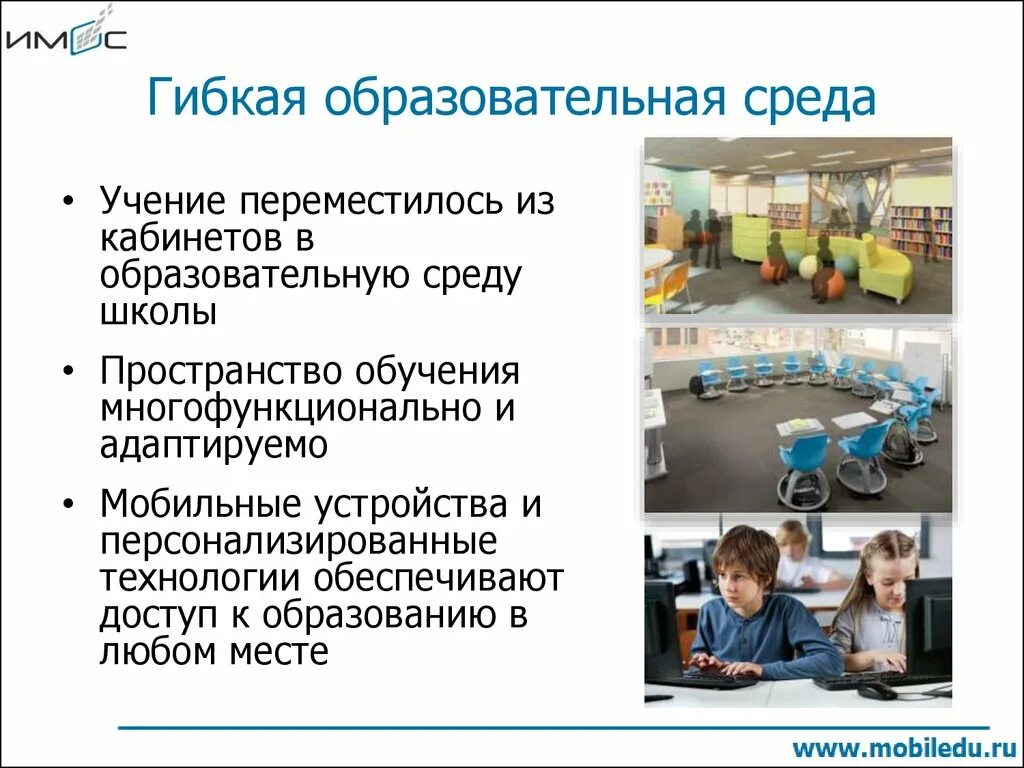 Гибкость образовательной программы. Гибкость образовательной программы