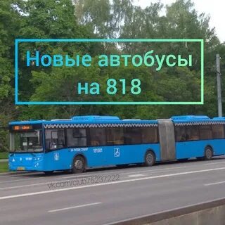 Автобус 818