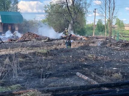 Чп новгородская область