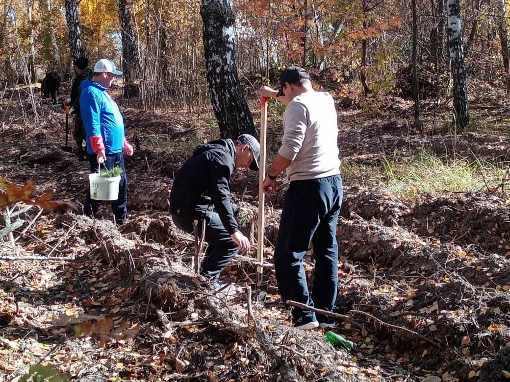 Лесные пожары в челябинске. Посадка деревьев. Волонтерство высадка деревьев. Дендрарий в ставрополе мероприятия на 20 мая. Школа 20 сирень победы.