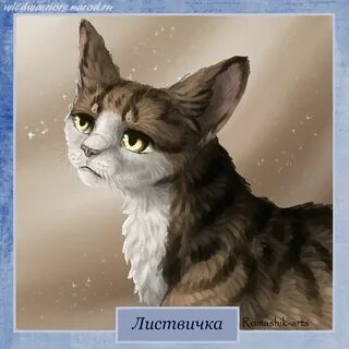 Воители персонажи