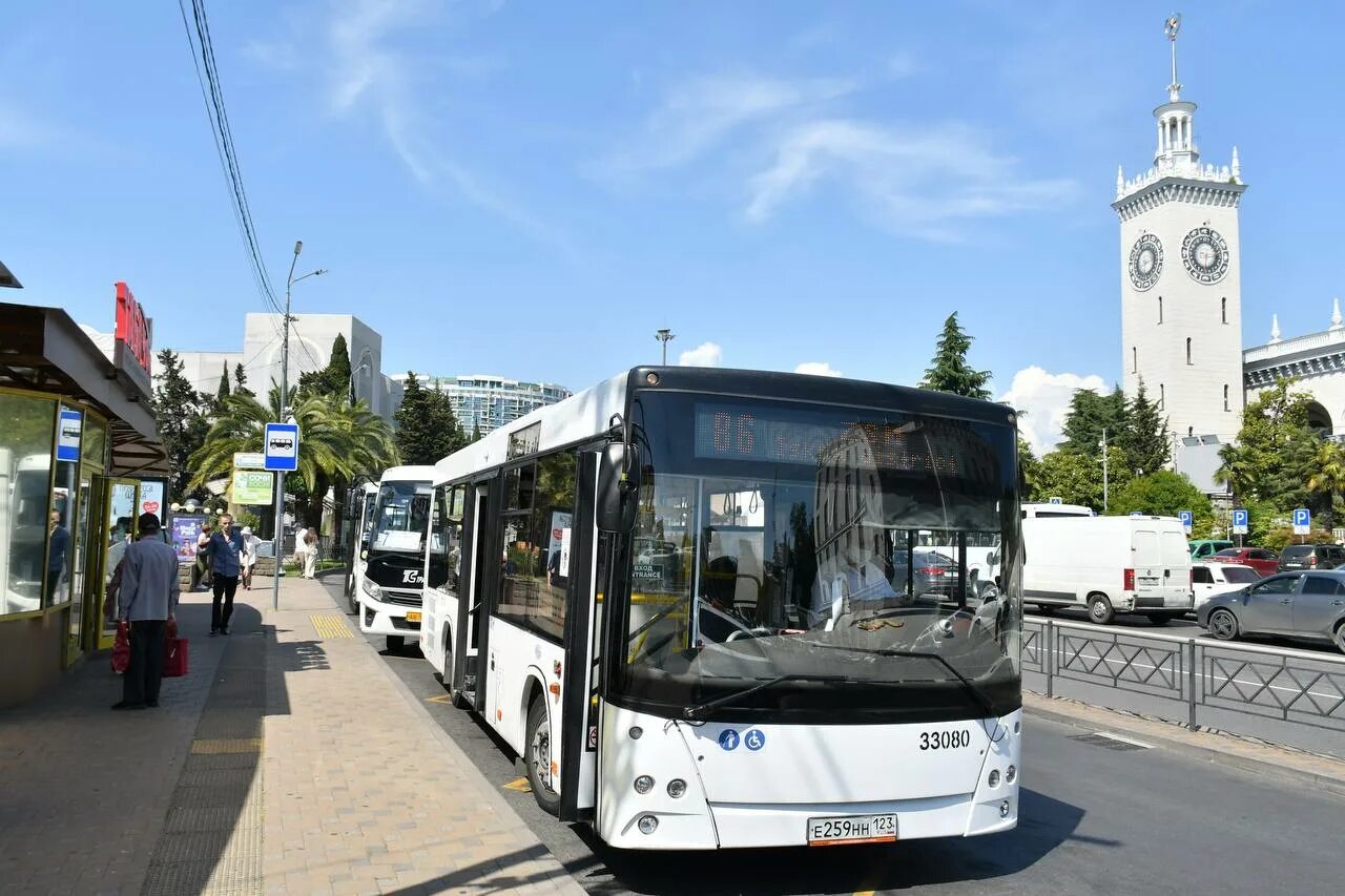 Автобусы Сочи. Общественный транспорт Сочи. Автобус Краснодарский край. Сочи новые автобусы.