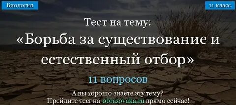 Тест борьба за существование и естественный отбор