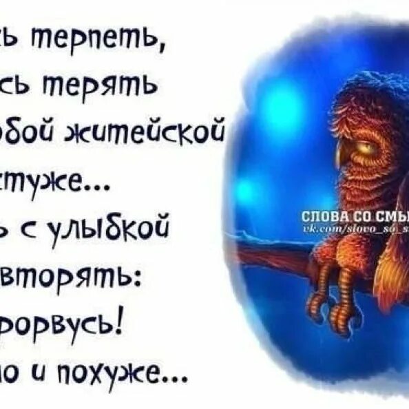 Учись страдай