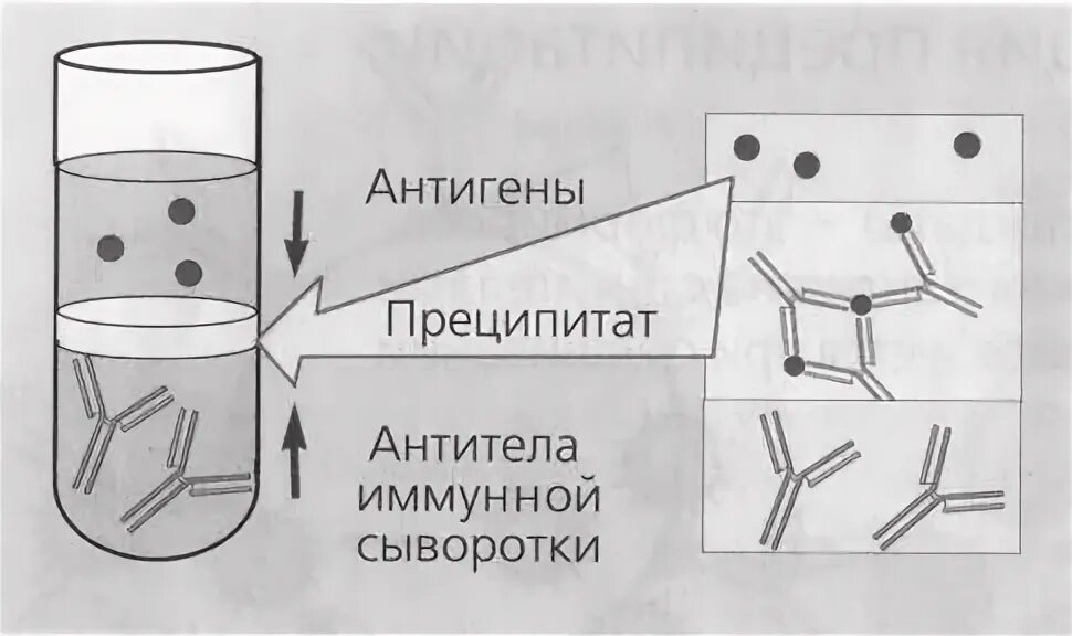 Преципитат формула