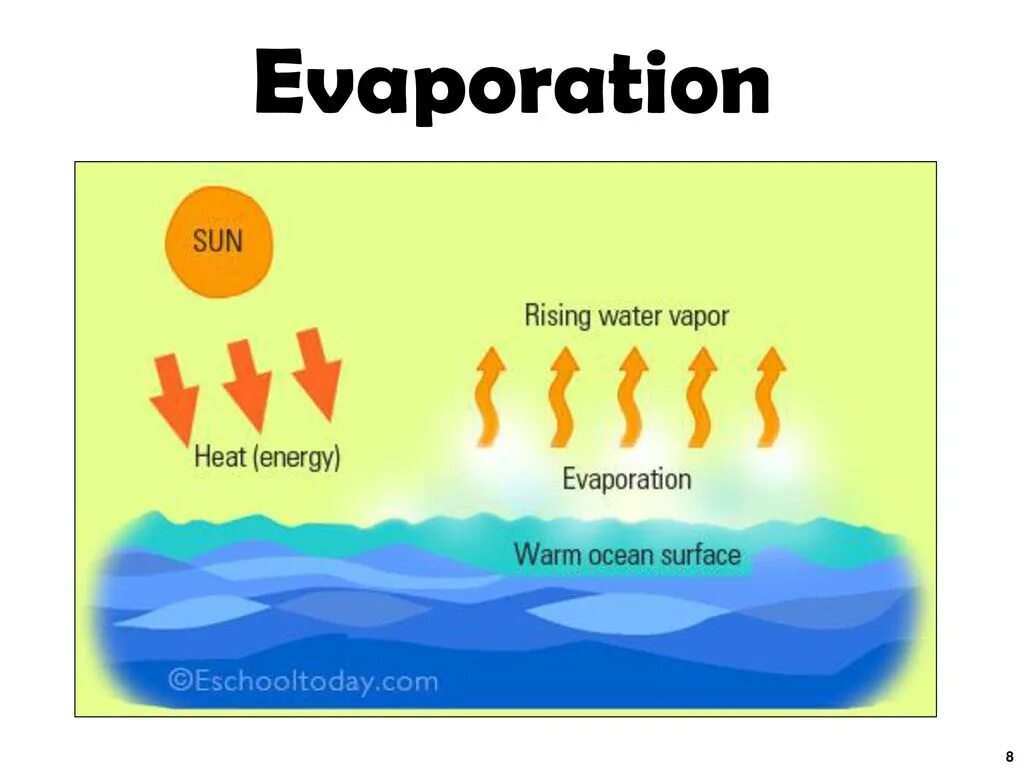Sun processing