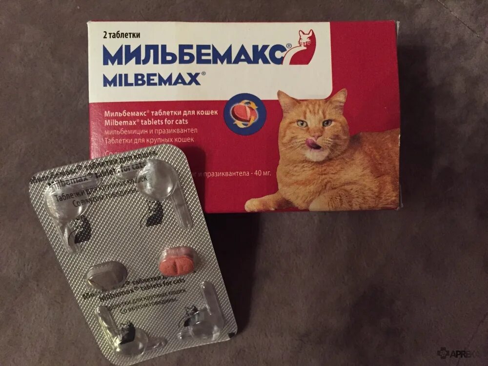 Глистогонное для кошек купить. Мильбемакс антигельминтик для кошек 2 табл. (24 уп/240кор) 16/40 мг. Мильбемакс для кошек 1 таб.. От глистов кошке Мильбемакс. Таблетка от глистов Мильбемакс для котов.